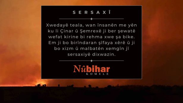 Read more about the article Sersaxiya Şewata Di Navbera Çinar û Şemrexê de